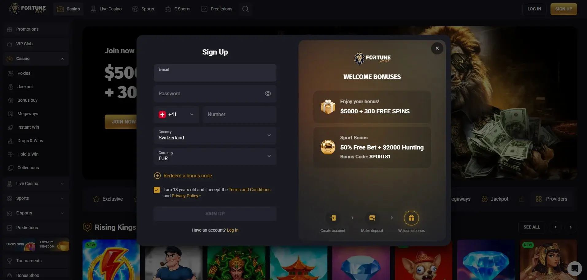 Fortune Play official registration or KYC-related account interface